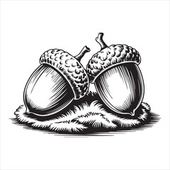 Hand Drawn Acorn Illustration Black and White,Vintage Acorn Sketch Isolated on White,Detailed Acorn Drawing in Engraving Style,Botanical Acorn Artwork in Line Art Style,Classic Acorn Vector in Hand