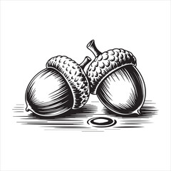 Hand Drawn Acorn Illustration Black and White,Vintage Acorn Sketch Isolated on White,Detailed Acorn Drawing in Engraving Style,Botanical Acorn Artwork in Line Art Style,Classic Acorn Vector in Hand