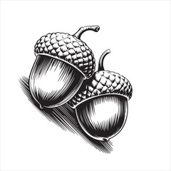 Hand Drawn Acorn Illustration Black and White,Vintage Acorn Sketch Isolated on White,Detailed Acorn Drawing in Engraving Style,Botanical Acorn Artwork in Line Art Style,Classic Acorn Vector in Hand
