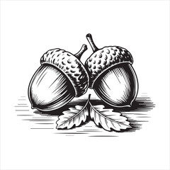 Hand Drawn Acorn Illustration Black and White,Vintage Acorn Sketch Isolated on White,Detailed Acorn Drawing in Engraving Style,Botanical Acorn Artwork in Line Art Style,Classic Acorn Vector in Hand