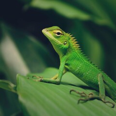 green lizard on a branch