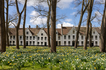 Peaceful view of the Begijnhof in Bruges with tall trees and yellow flowers decorating the grass on...