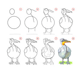 How to draw a cute pelican. Educational page for children. Creation step by step bird illustration. Printable worksheet for kids school exercise book. Online education. Flat vector drawing.