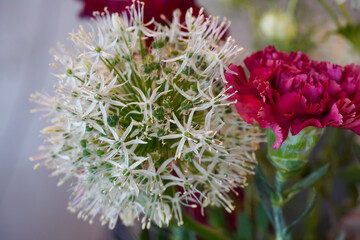 Bright floral arrangement featuring delicate white and vibrant pink flowers in a natural setting