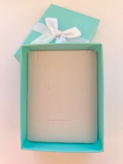 Elegant Jewelry Gift Box. Delicate powder blue-mint gift present box with white bow. 