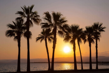 Obraz premium Beautiful sunset with palm trees along the coastline
