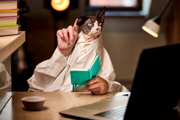 Sphynx cat holding notebook and pointing upward in office