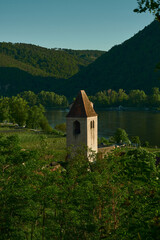 Obraz premium Old tower surrounded by vineyards and trees in Dürnstein, Wachau Valley, Austria. Scenic view of the Danube River and forested hills in the background.