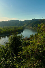 Obraz premium Scenic view from a green hill with trees and shrubs over the wide Danube River and surrounding forested hills in Wachau Valley, Austria on a sunny day.