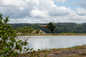 PAISAGEM DE UMA ERRA COM MONTANHAS EM UM CÉU AZUL LINDO, E VARIAS ARVORES (LANDSCAPE OF A LAND WITH MOUNTAINS IN A BEAUTIFUL BLUE SKY, AND SEVERAL TREES)