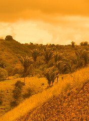 Montanhas formando uma linda paisagem, com árvores e um verde exuberante entre elas (Mountains forming a beautiful landscape, with trees and lush greenery between them)