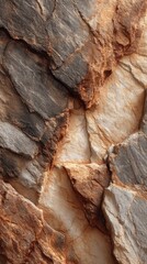 Natural rock formation featuring a variety of textures and colors in a close-up view displaying the geological intricacies