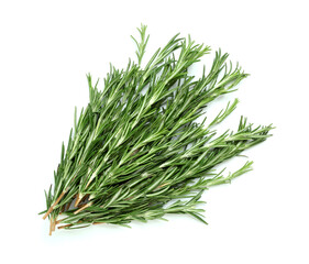 Twigs of fresh rosemary isolated on white background, closeup