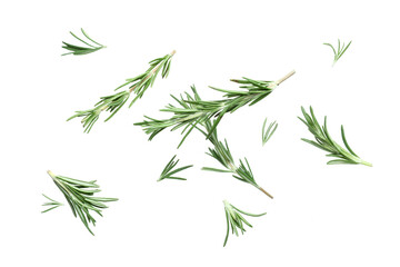 Flying fresh rosemary isolated on white background, closeup