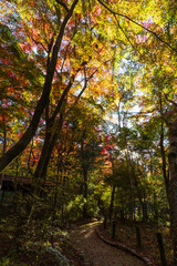日本の風景・秋　日本三名泉　紅葉の有馬温泉　瑞宝寺公園