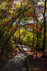日本の風景・秋　日本三名泉　紅葉の有馬温泉　瑞宝寺公園