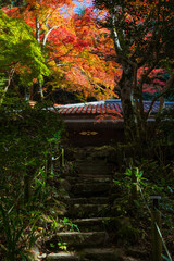 日本の風景・秋　日本三名泉　紅葉の有馬温泉　瑞宝寺公園