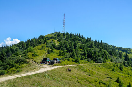 Сlear day reveals a lush green hill crowned with a forest and a tall communications tower. A dirt road winds up the slope, where several vehicles and people are gathered picking blueberries