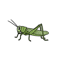 Cartoon grasshopper illustration with green colors on white background  doodle icon, simple hand-drawn outline, doodle style, minimal black line, isolated on white