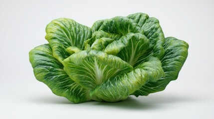 Obraz premium Compact head of green butter lettuce with layered leaves on a clean surface