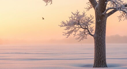 Serene winter landscape with snow-covered tree at sunrise