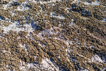 Soda Lake Salt Flats in Carrizo Plains National Monument