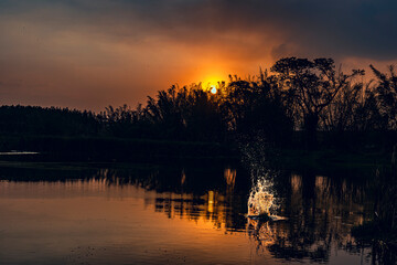sunrise over lake
