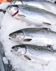 Fresh, whole salmon fillets rest on a bed of ice, showcasing their glistening scales and speckled texture.
