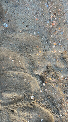 Beach Sand Texture with Seashells