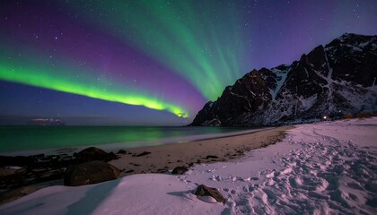 Naklejka premium Northern Lights over a snowy beach at night