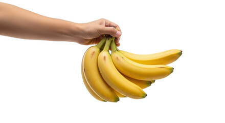 A hand holding a bunch of ripe yellow bananas against a clean white background a healthy fruit snack for everyone