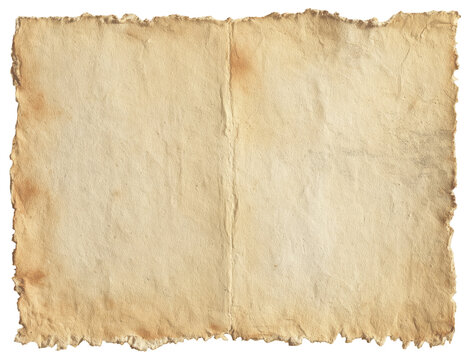 Aged, open, parchment-like paper.  Frayed edges.  Uneven texture
