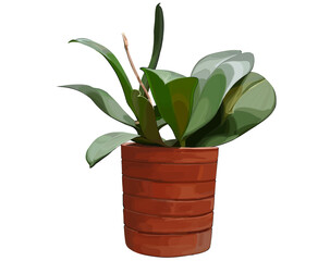 Hand-painted illustration of a small potted orchid plant in a terracotta clay pot. Minimalist and earthy, suitable for botanical designs, posters, or interior-themed visuals