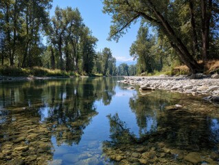 Obraz premium Scenic river landscape with reflections of trees and blue sky