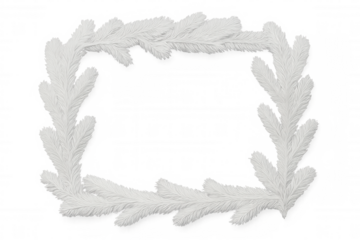 White christmas fir branches forming a rectangular frame on a transparent background, perfect for winter holiday projects