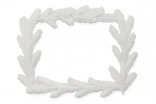 White christmas fir branches forming a rectangular frame on a transparent background, perfect for winter holiday projects