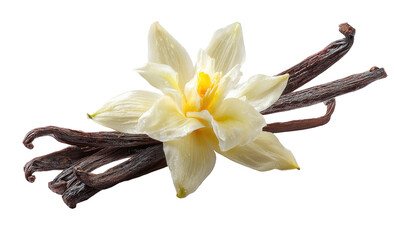 Close-up of vanilla flower and pods