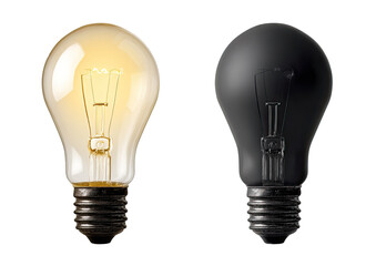 Two incandescent light bulbs, one lit, one dark