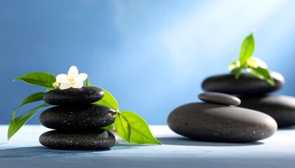 Smooth dark stones with white blossoms and leaves on a light blue background