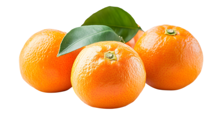 Tangerines with Leaves Fresh Citrus Fruit Still Life