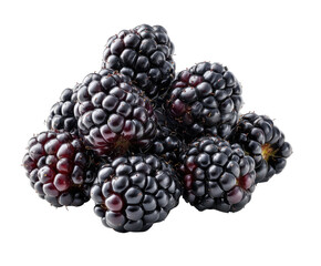 Cluster of dark blackberries