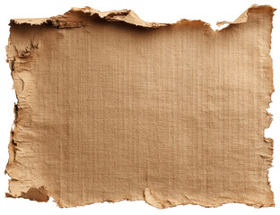 Frayed cardboard piece.  Rough, light brown texture