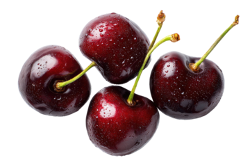 Four fresh, plump cherries, glossy and dark red, with water droplets clinging to their surfaces, arranged in a slightly overlapping cluster.  Stems and tiny leaves are visible
