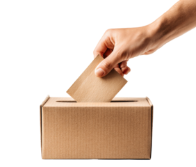 Hand casting ballot into cardboard box