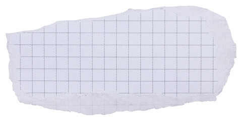 Piece of white ripped checkered diary page with black grid, isolated paper element with copy space