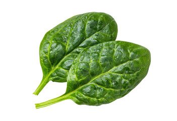 Fototapeta premium Two vibrant spinach leaves, close-up, showing detailed texture and deep green color