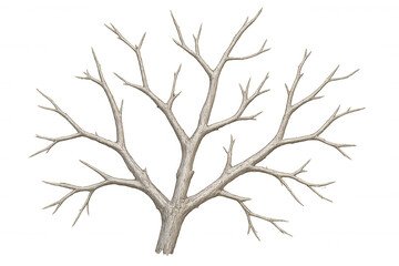 Fototapeta premium Bare tree branches spreading, silhouetted against transparent backdrop, creating minimalist nature graphic design element