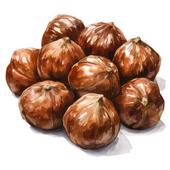Roasted Chestnuts, watercolor illustration vector, isolated on a white background.
