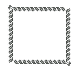 frame with floral ornament