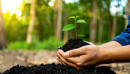 Young plant soil hand nature growth environment green forest sunlight outdoor. person gently holds rich soil and small seedling symbolizing hope sustainability and environmental care